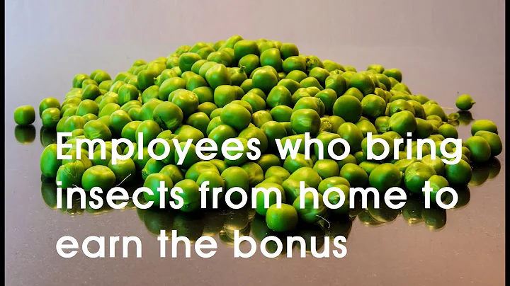 Short Story: Employees who bring insects from home to earn the bonus