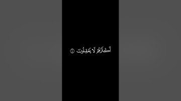 #كرومات_قرآن إن الذين ينادونك من وراء الحجرات أكثرهم لا يعقلون بصوت الشيخ فارس عباد #تلاوة_خاشعة