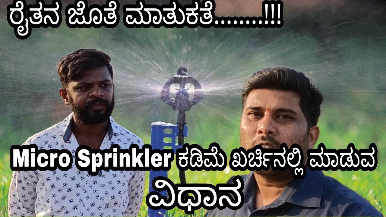 Micro Sprinkler Installation process Micro Irrigation system in