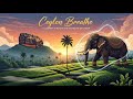 Ceylon Breathe - Original Deep Organic House Mix (Sri Lankan Nature Sounds)