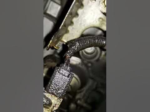 2010 Accord Oil Leak - YouTube