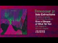 Dinosaur Jr - Solo Extractions (Official Audio)