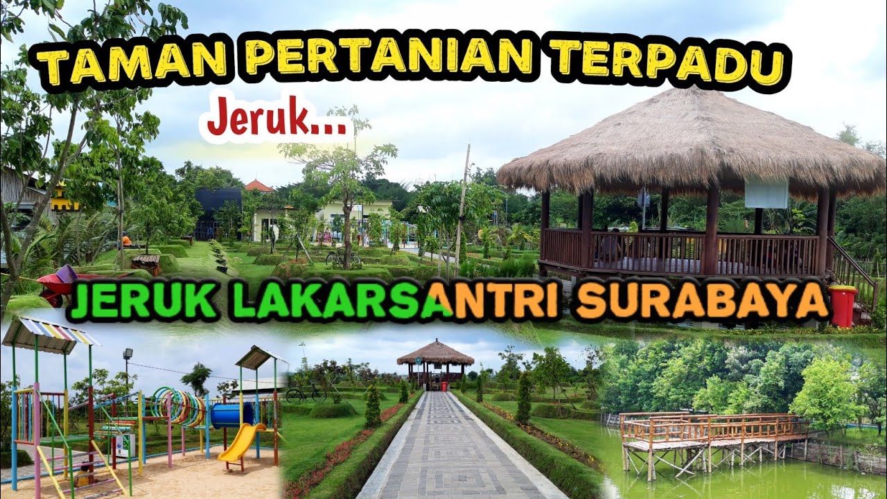 TAMAN PERTANIAN TERPADU JERUK LAKARSANTRI SURABAYA | TAMAN JERUK LAKARSANTRI | Taman Jeruk Surabaya