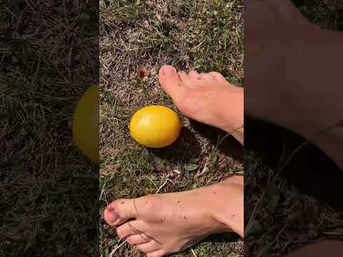 👣lemon barefoot massage 🍋