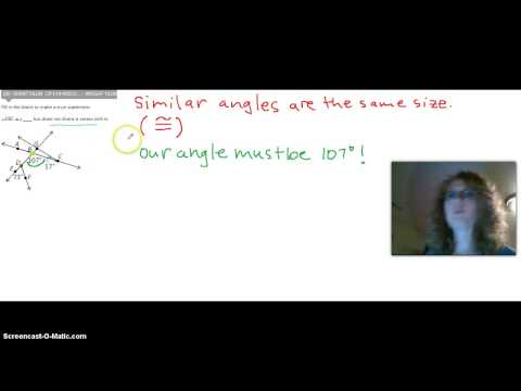 Ms. Wilson SM1: Recognizing similar angles