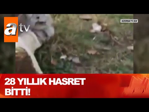 Azerbaycan'ın zaferi Şuşa kurtarıldı! - Atv Haber 9 Kasım 2020