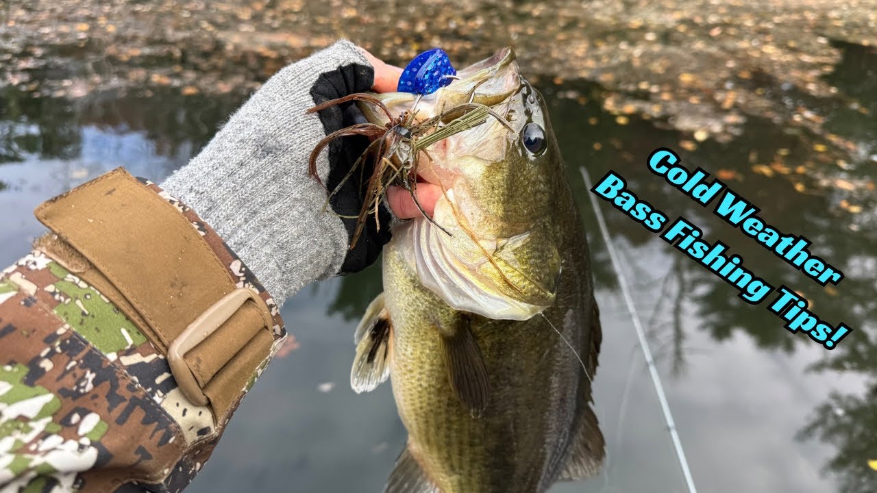 Cold Weather Bass Fishing Tips You Need To Know!!!