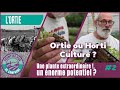 Ortieculture ou horticulture une plante extraordinaire avec un norme potentiel 