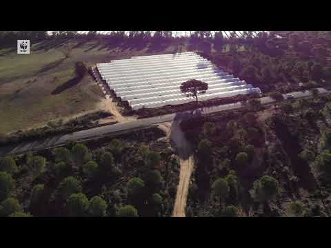 La propuesta de PP, Cs y VOX pretende amnistiar casi 2.000 hectáreas de riego ilegal en Doñana