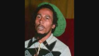 Bob Marley & the Wailers Roots Rock Reggae Exeter 76