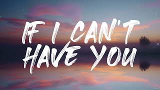 Shawn Mendes - If I Can't Have You (Lyrics)