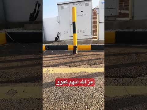 نمل شايلين نحلة اكسبلور  ترند البخل صيد التغطيه تيك توك