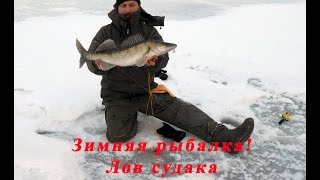 видео Блеснение судака зимой