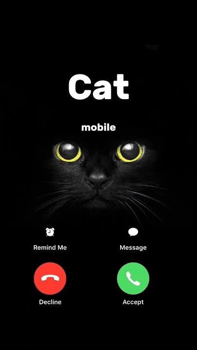 #ringtone #smartphone #nadaderingtelepon #ringtones #bgm #music #cat #catcalling #call #funny