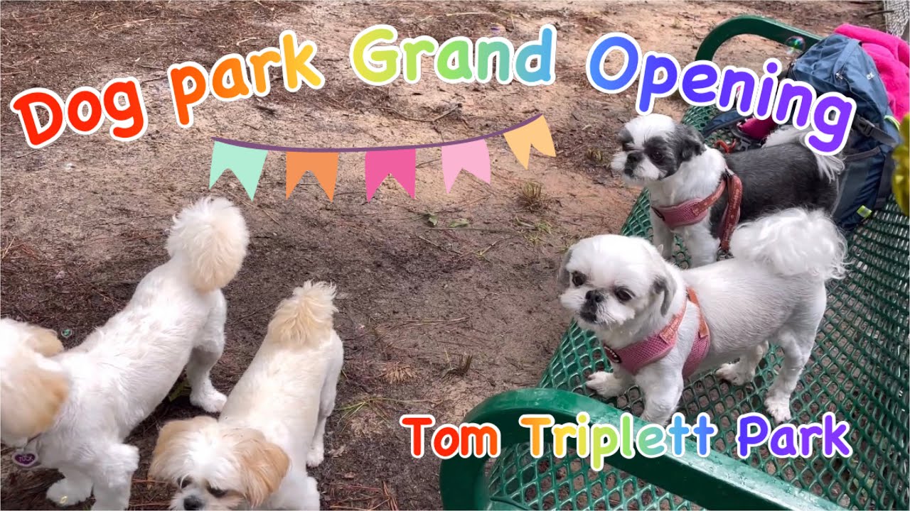 Dog Park Grand Opening near house. YouTube