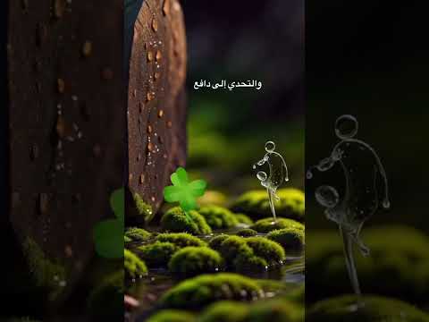 علي بن جمعه العريمي فن التأقلم
