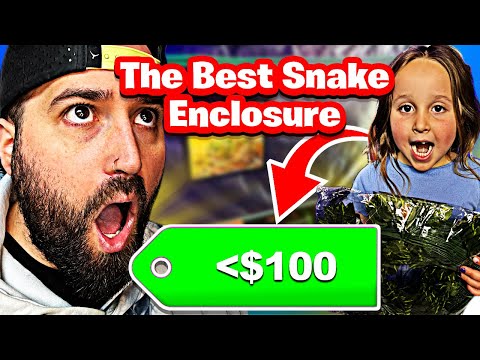 This $50 Snake Setup Will Blow Your Mind!