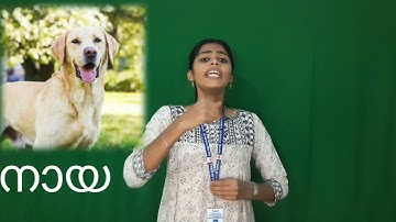 Std 1 Integration Unit 9 Class 45 White Board HI