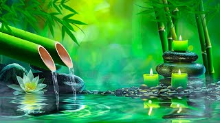 Beautiful Piano Music 🌿 Bamboo, Relaxing Music, Nature Sounds, Relieves Stress Music, Calming music