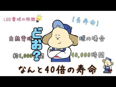 LED電球の特徴をご紹介いたします～♪