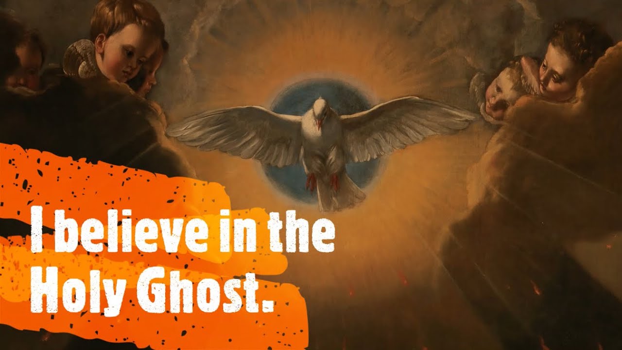 14 The Creed 8th Truth The Catechism in Pictures YouTube