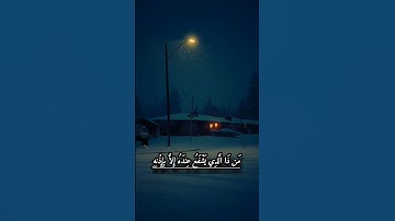 أية الكرسي  راحة وطمأنينة 😌🎧 القارئ #اسلام_صبحي