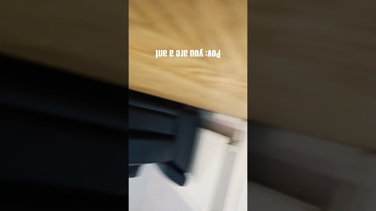 ant 🐜 🐜 🐜 🐜 