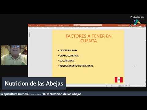 Avances sobre la
