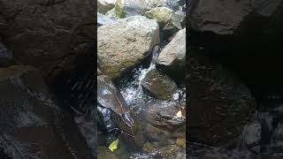 Water Flow in River