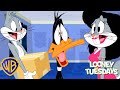Looney Tunes em Português 🇧🇷 | Quem Está de Mudança?! | WB Kids