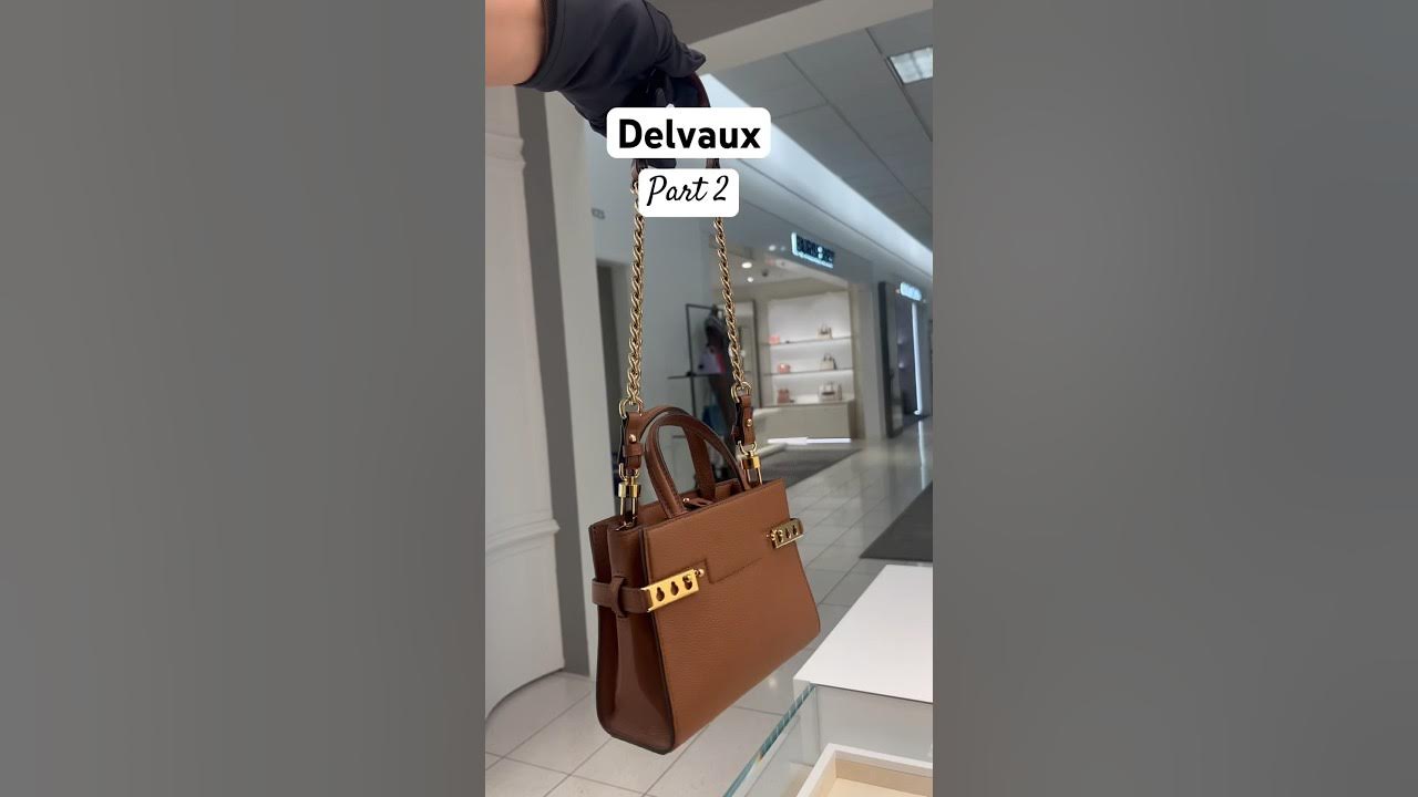 Part 2 Tempete Crush- Delvaux #delvaux #trendingshorts #baglover