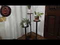 How To Make Indoor Plant at home