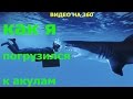 ➥Акула. Как я погрузился к акулам. Видео на 360 градусов.