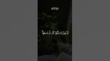 #ماهر_المعيقلي #سورة_الجاثية #لايك #اكسبلور #قرآن #راحة_نفسية