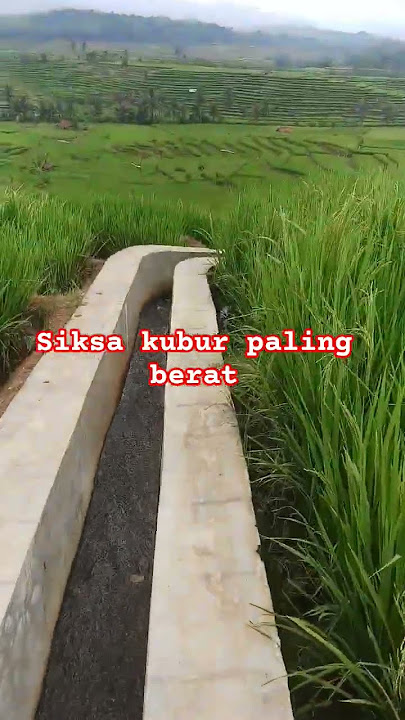 #funny #harvifamily #selfreminder #shortsvideo #shortsfeed #selfreminder #quotes #ricefields #you...