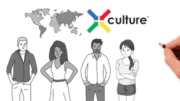 Professionals: what is X-Culture?