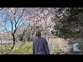 VIDA REAL NO JAPÃO: MORAMOS EM UMA ILHA ! 