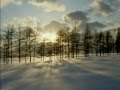 Марія Стародуб - В лісі на морозі