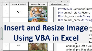 Excel VBA to Insert Picture into Cell and Resize Picture to fit into Cell