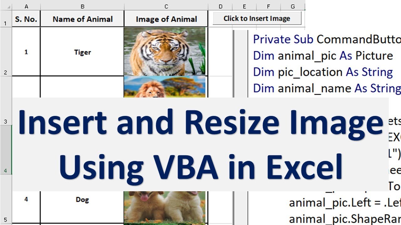 Excel Vba To Insert Picture Into Cell And Resize Picture To Fit Into Cell