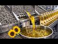 Proceso de producción de aceite puro de girasol desde millones de semillas que rara vez ves