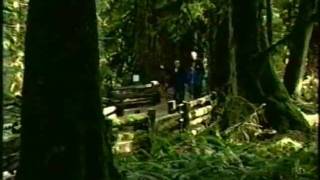 2005 Mcmillan Park Expanded Tv News Story