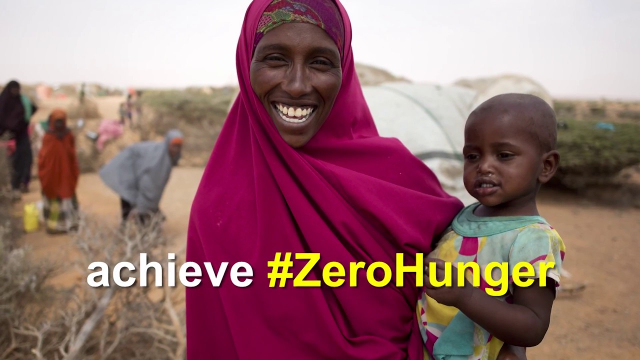 FAO in emergencies – 2017 highlights