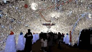 20100130_御殿場ときのすみか第1会場1.AVI
