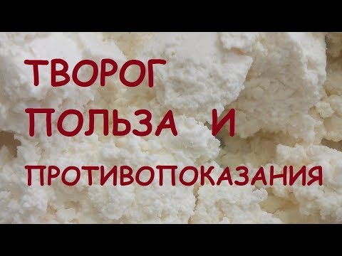 Творог. Польза и вред.