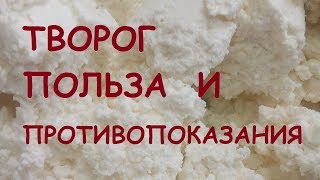 Творог. Польза и вред.