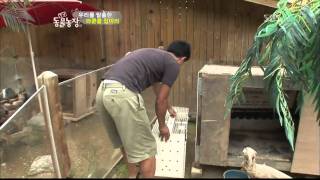 TV 동물농장 111002_03