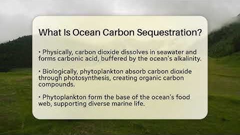 What Is Ocean Carbon Sequestration? - Ecosystem Essentials