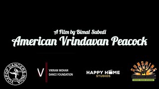 American Vrindavan Peacock Official Teaser l Dance on Screen ll Short Contemporary Dance Film ll
