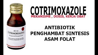 COTRIMOXAZOLE  Antibiotik Penghambat Sintesis Asam Folat Bakteri